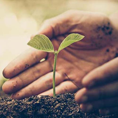 chemlink sustainability