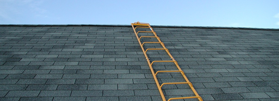 Ladders & Accessories Ladders & Accessories